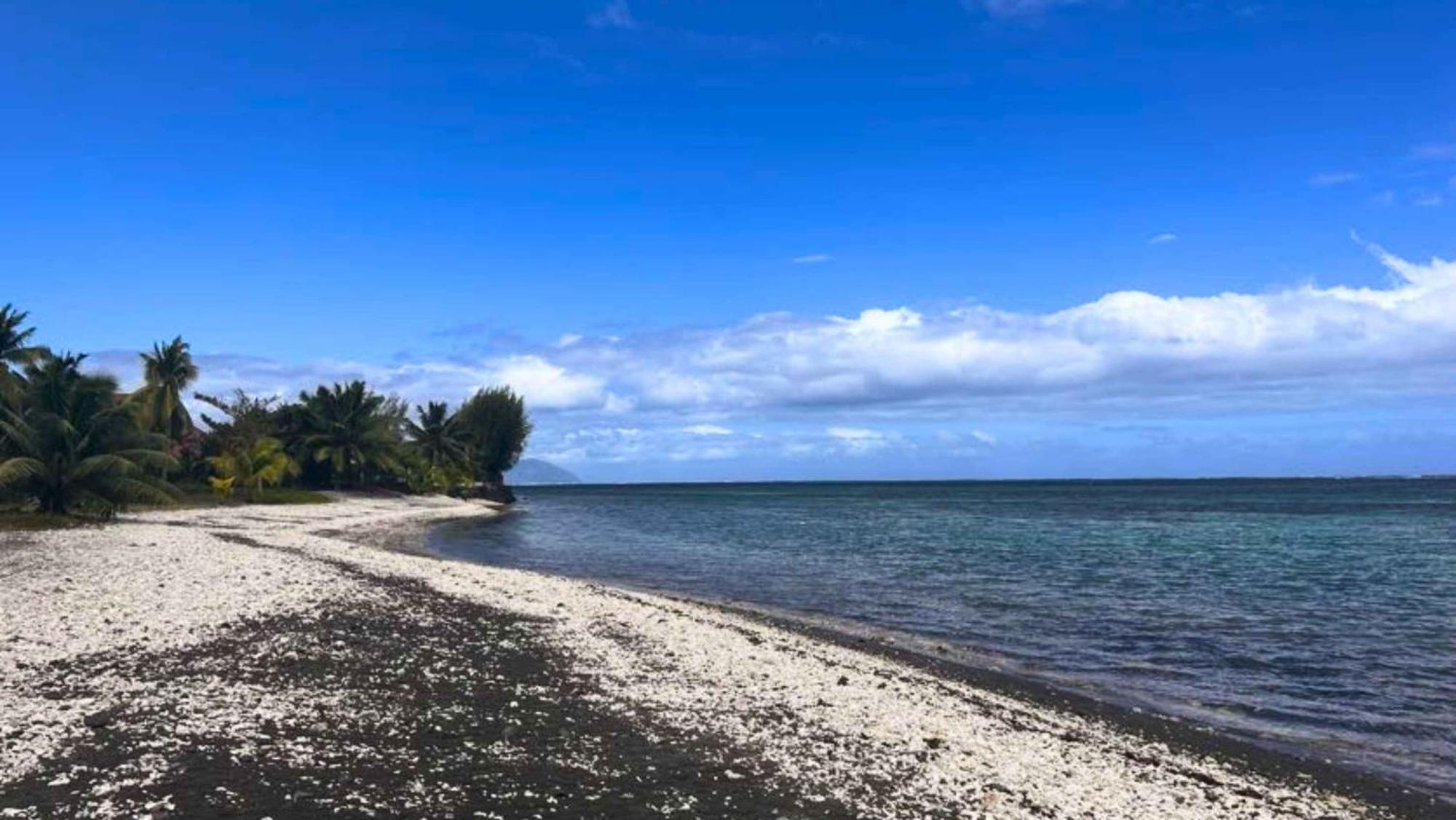 Tahiti - Domaine Mango Lodge Papara エクステリア 写真